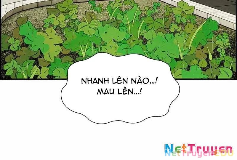 Chế Tác Hạt Nhân Chapter 15 - Trang 2