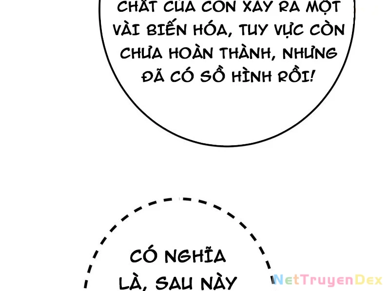 Chưởng Môn Khiêm Tốn Chút Chapter 459 - 53