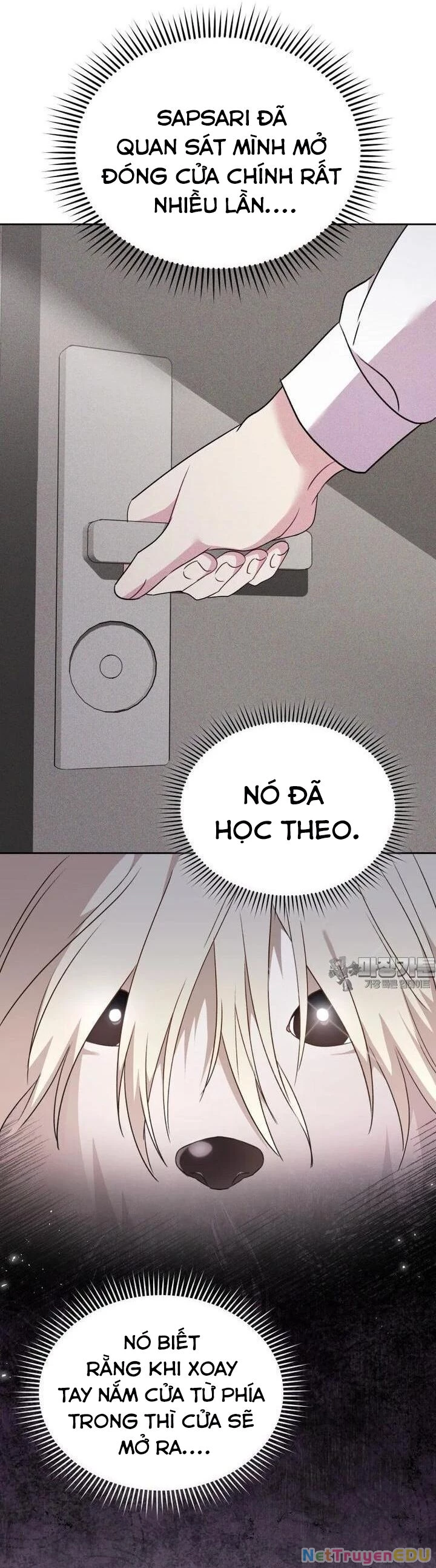 Xin Chào! Bác Sĩ Thú Y Chapter 57 - 19