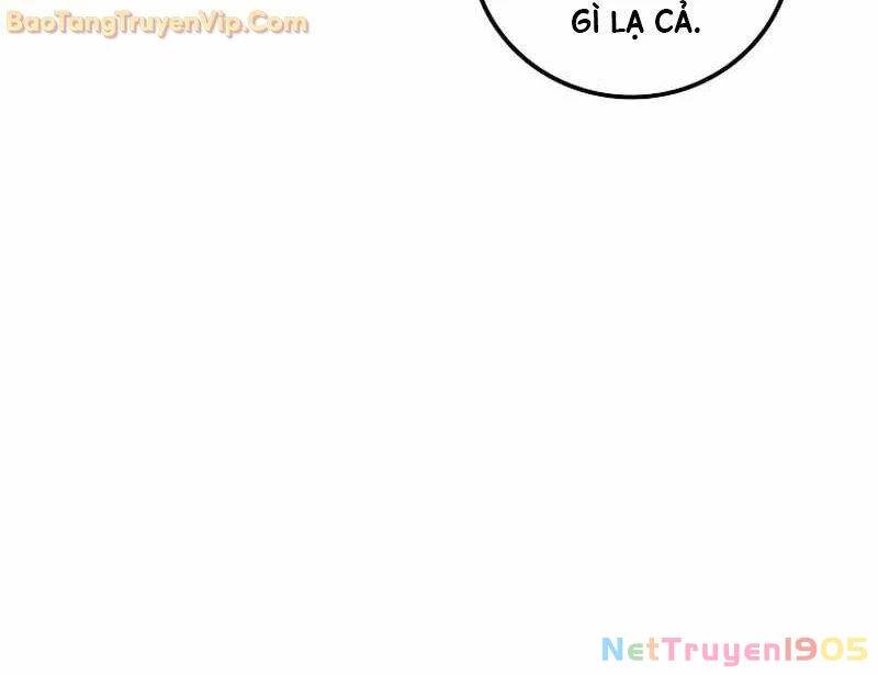 Vô tình ghi danh Chapter 31 - 15