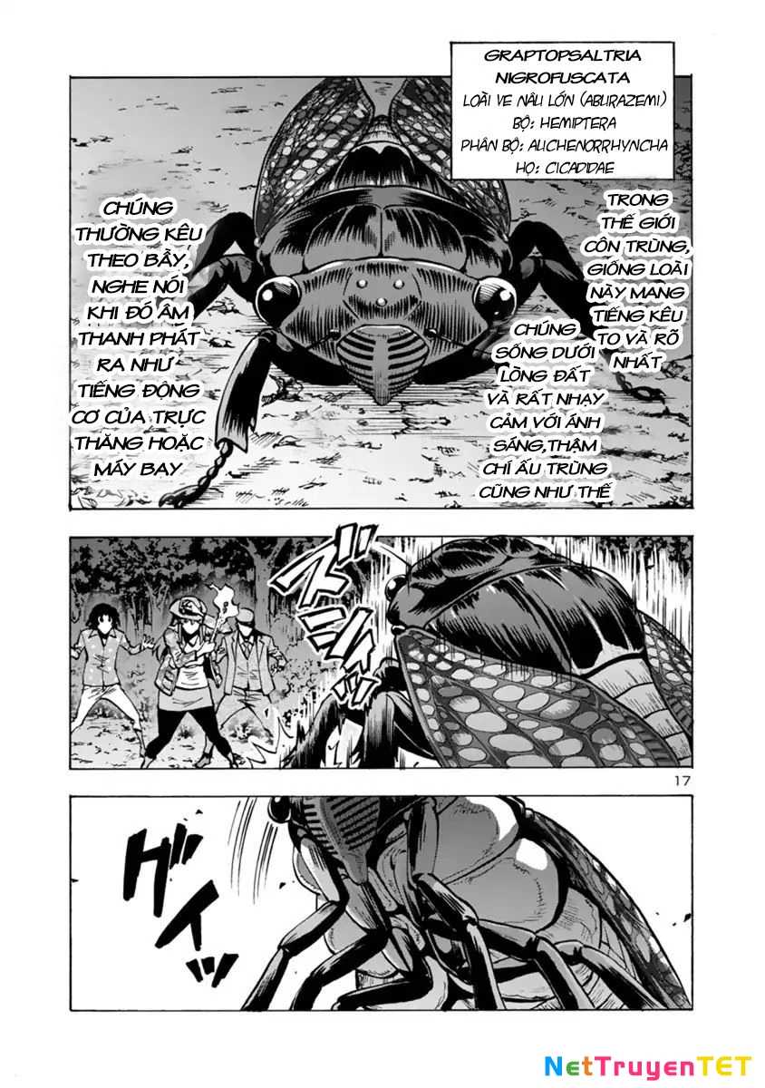 Siêu Đảo Côn Trùng Chapter 7.2 - 18