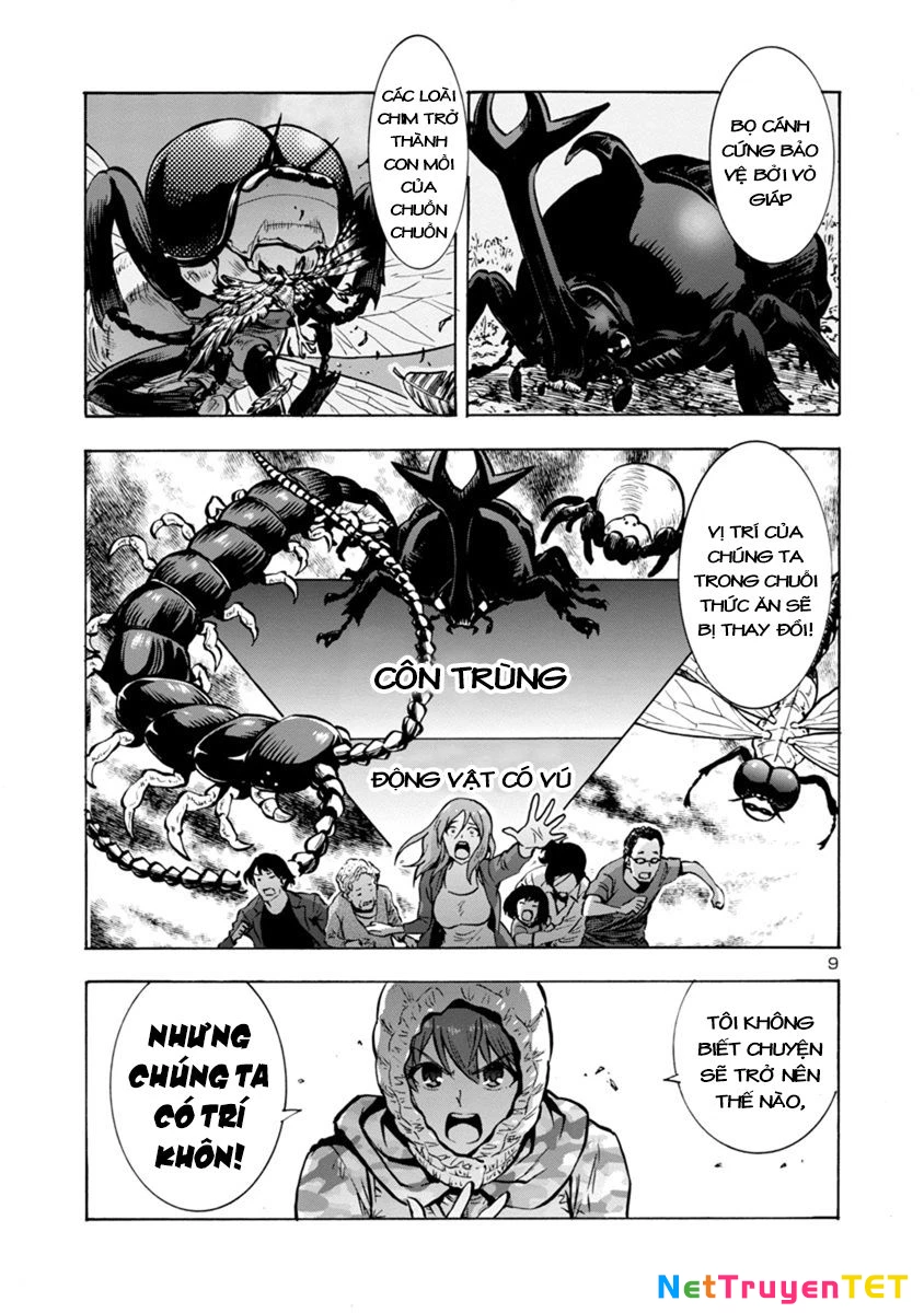 Siêu Đảo Côn Trùng Chapter 10.1 - 9
