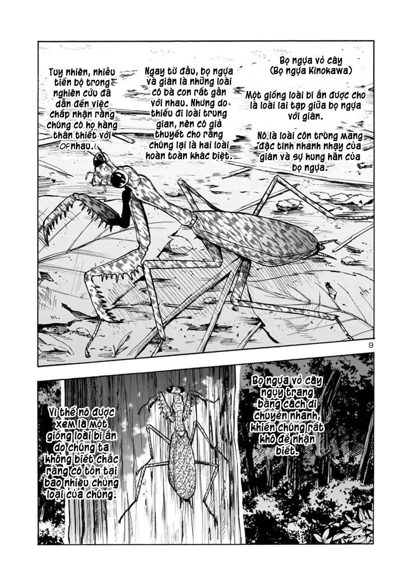 Siêu Đảo Côn Trùng Chapter 12.1 - 9