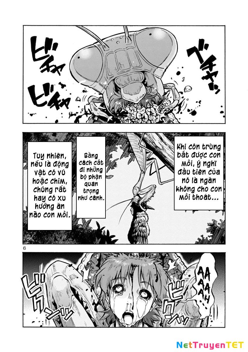 Siêu Đảo Côn Trùng Chapter 14.1 - 6