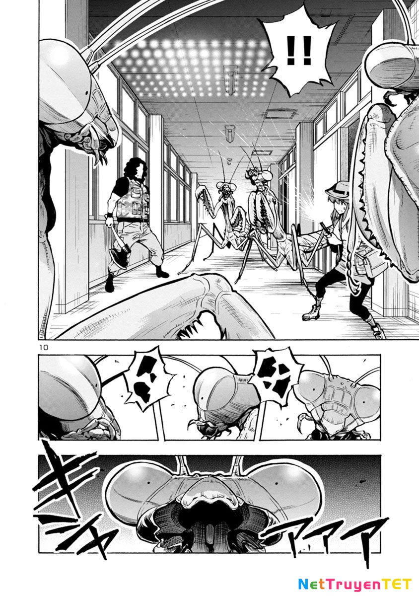 Siêu Đảo Côn Trùng Chapter 14.2 - 10