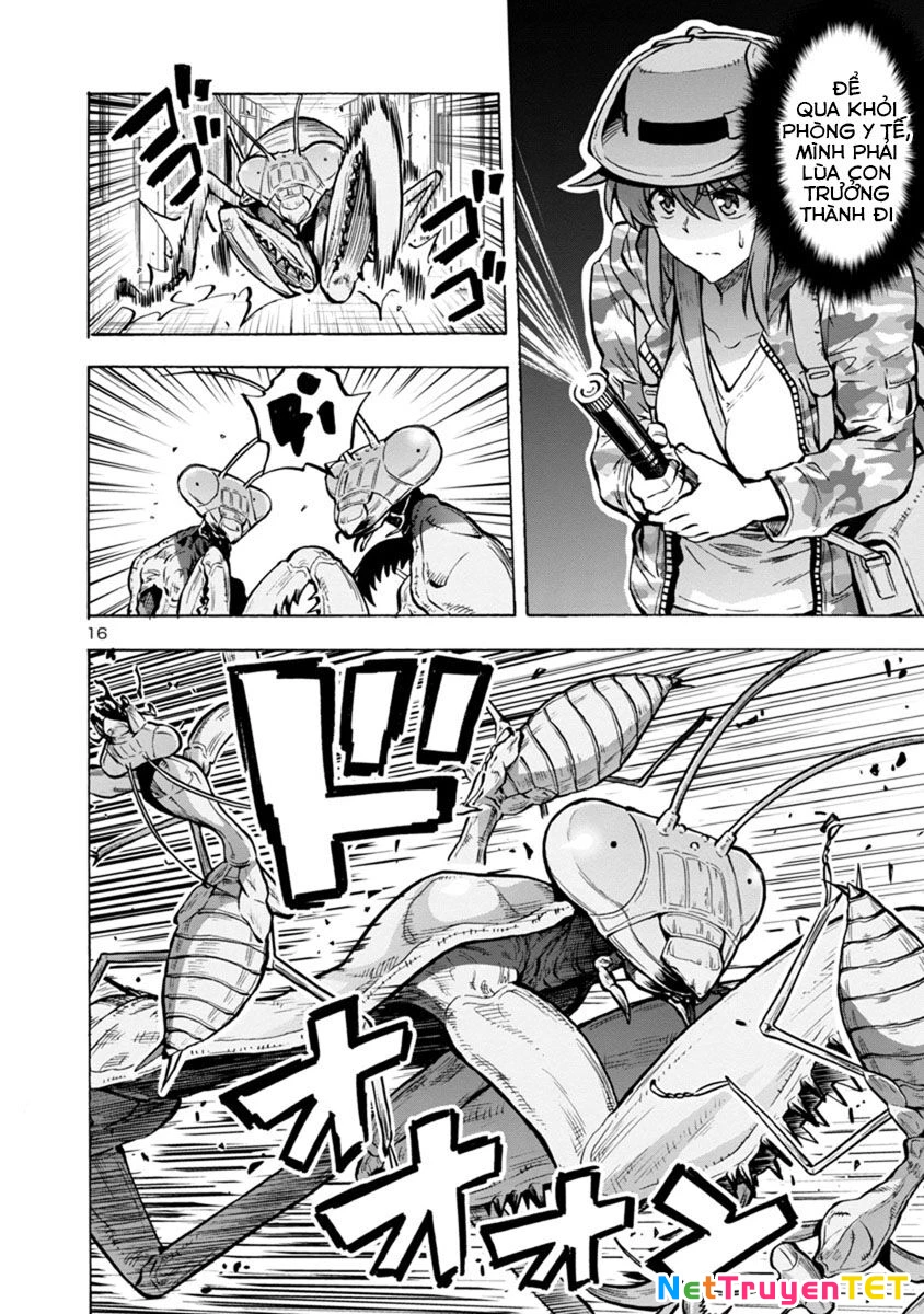 Siêu Đảo Côn Trùng Chapter 14.2 - 16