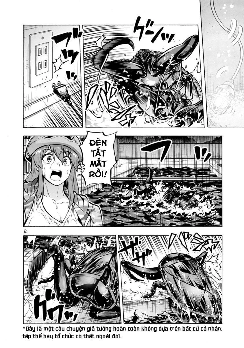 Siêu Đảo Côn Trùng Chapter 19.2 - 2