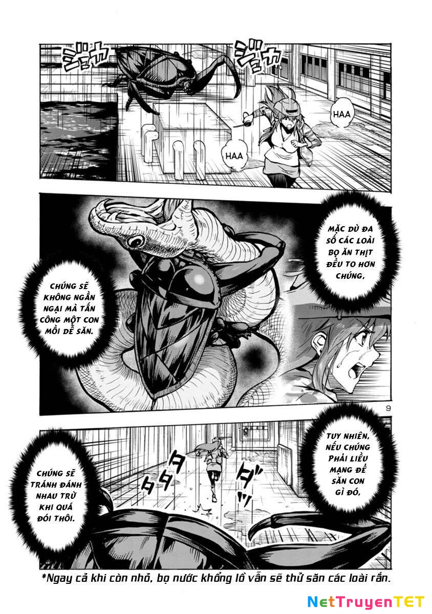 Siêu Đảo Côn Trùng Chapter 19.2 - 9