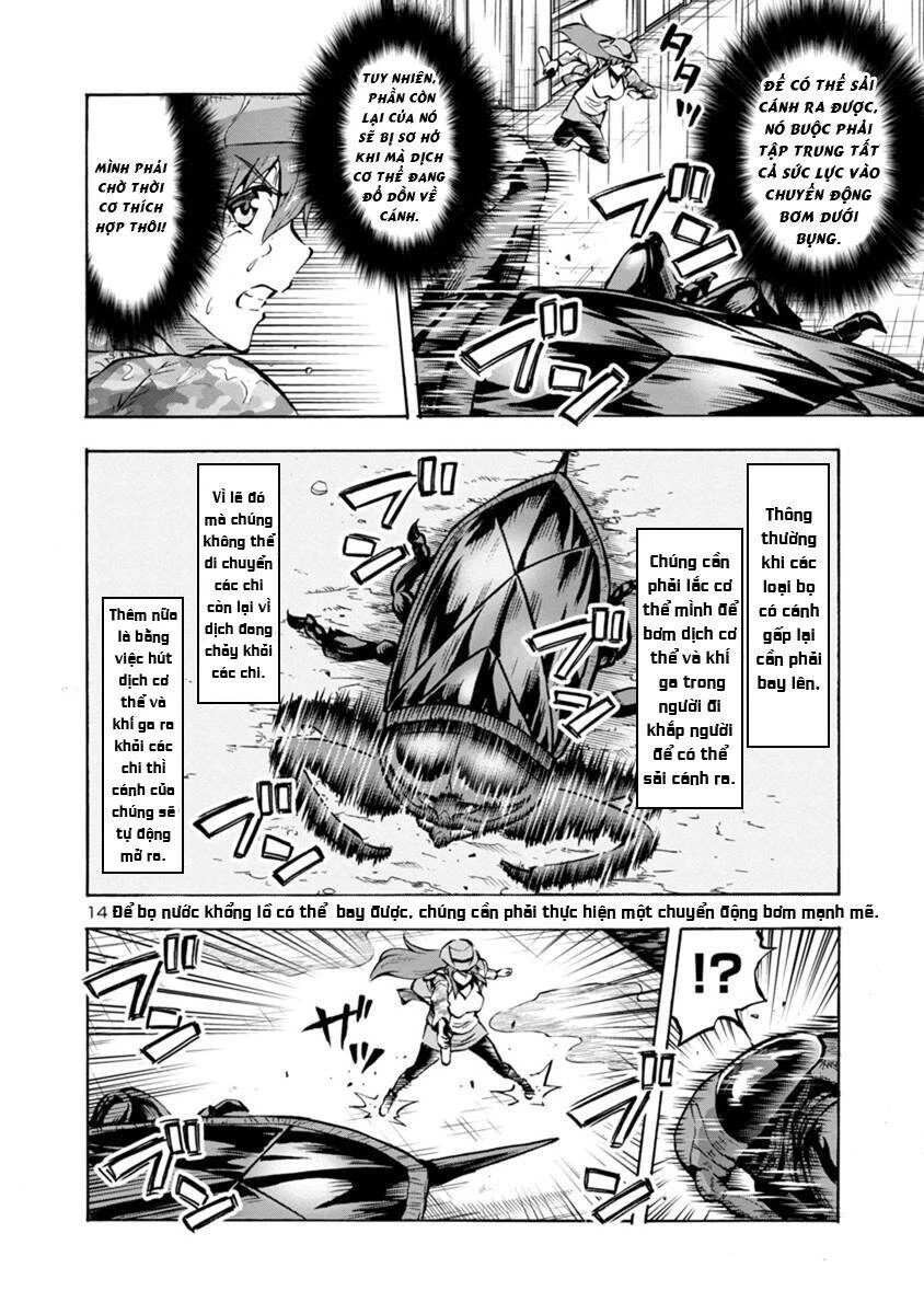 Siêu Đảo Côn Trùng Chapter 19.2 - 14