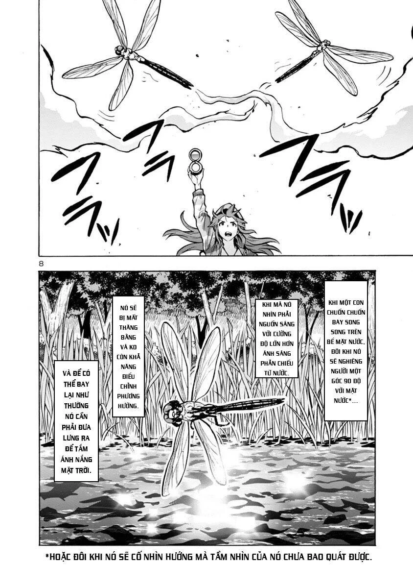 Siêu Đảo Côn Trùng Chapter 21.2 - 7