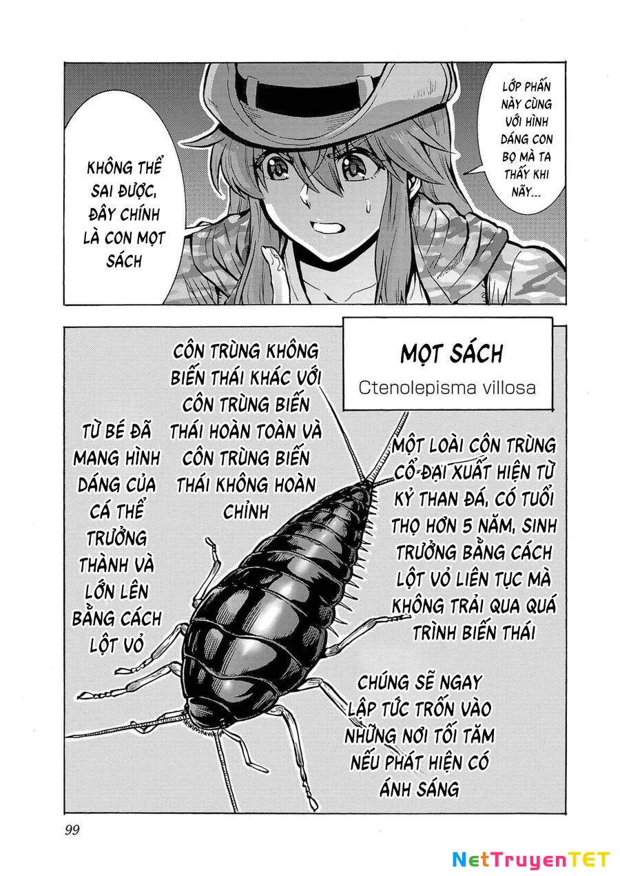 Siêu Đảo Côn Trùng Chapter 27 - 22