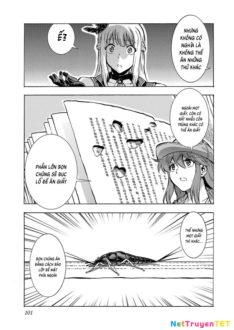 Siêu Đảo Côn Trùng Chapter 27 - 24