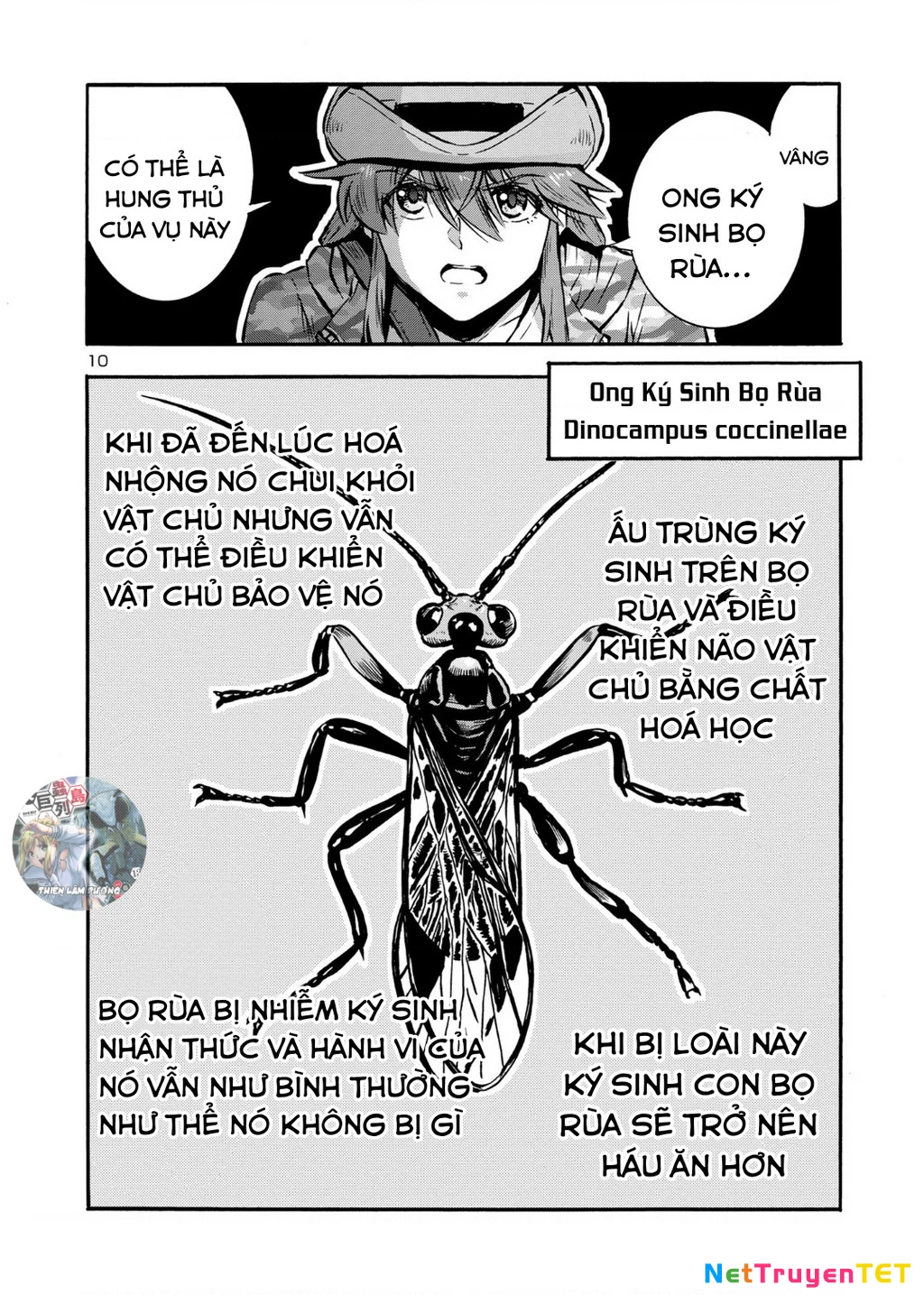 Siêu Đảo Côn Trùng Chapter 47 - 12