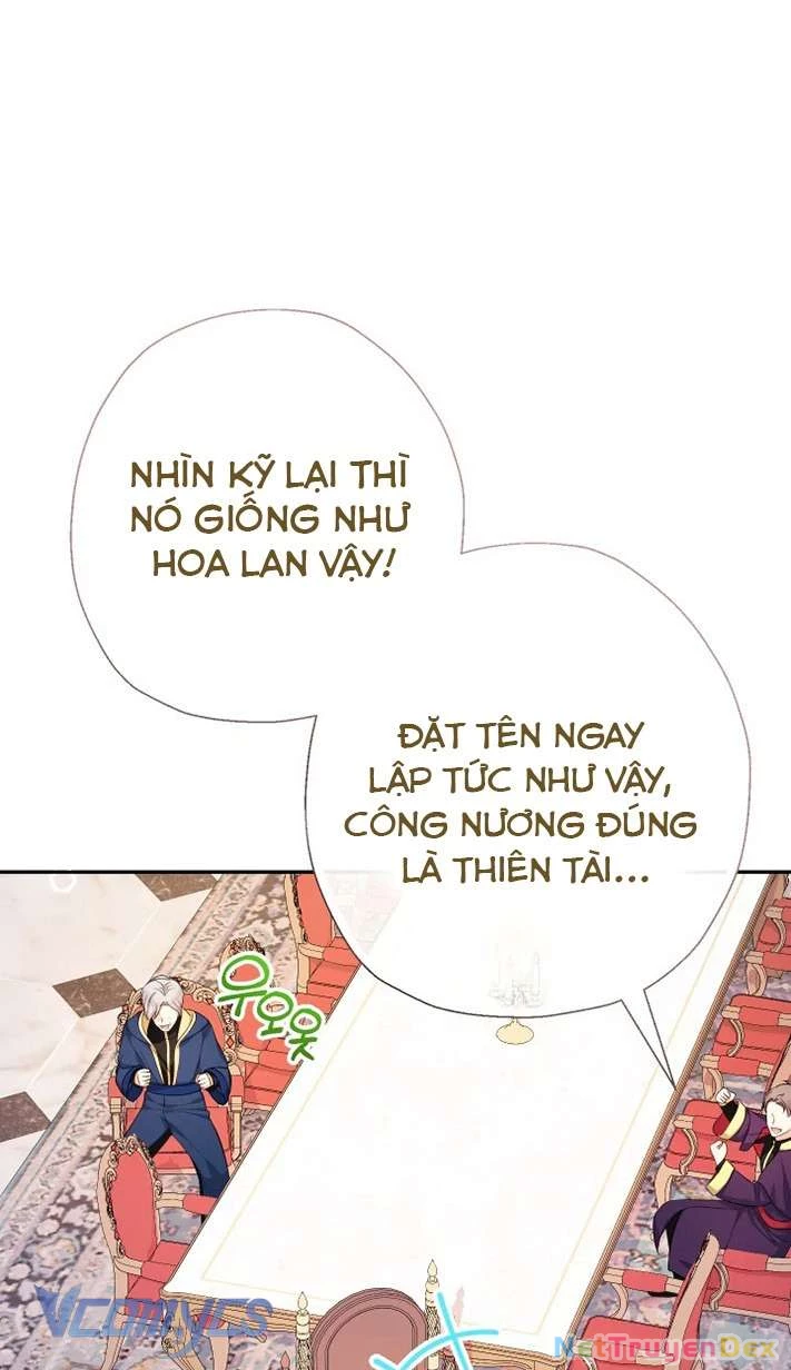 Tiểu Thư Tích Tiền Đi Bụi Chapter 81 - 42