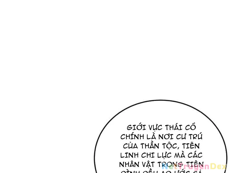 Đệ Tử Tu Luyện Còn Ta Thì Lười Biếng Chapter 145 - 11