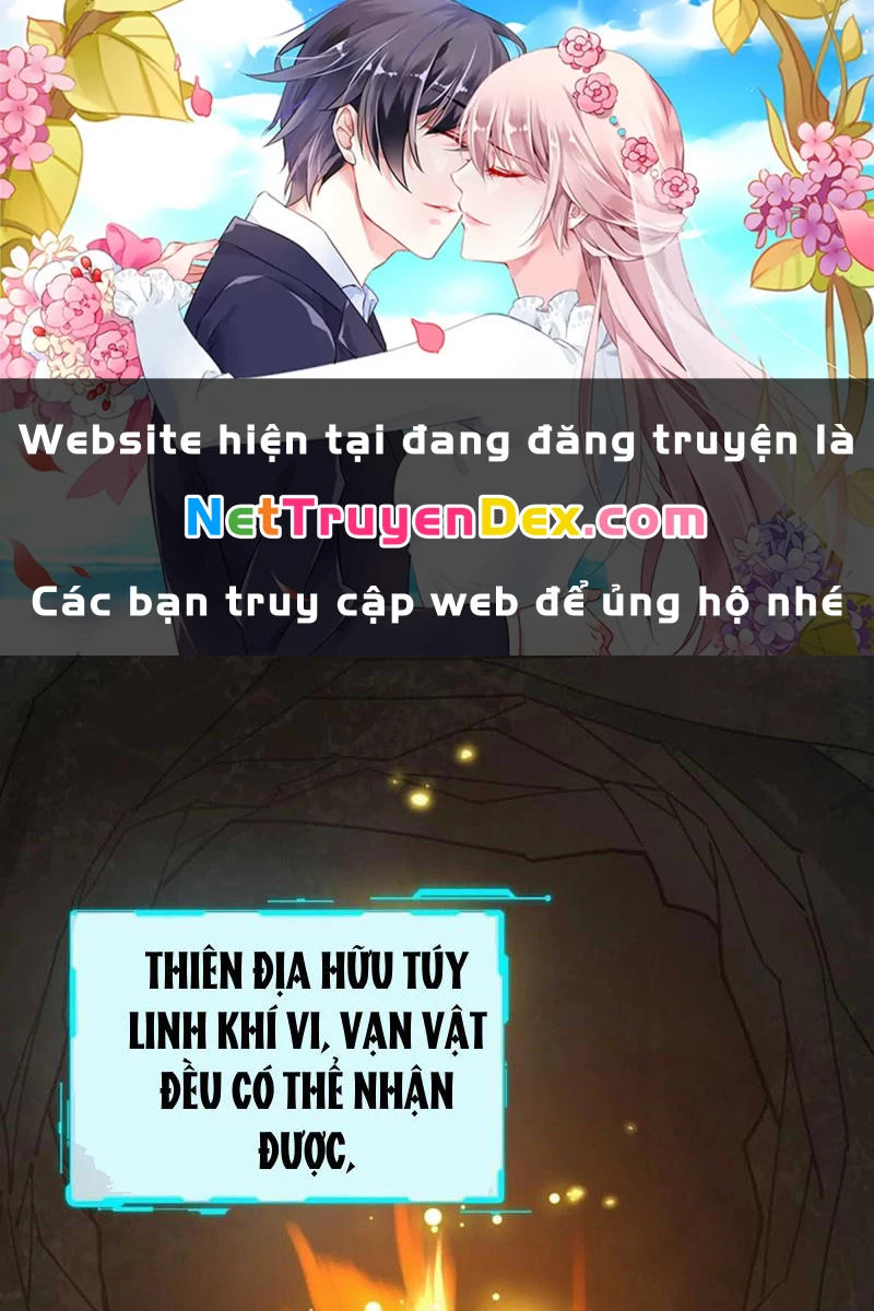 Ta Thực Sự Không Có Hứng Tu Tiên Chapter 36 - 1