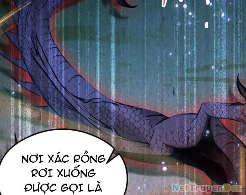 Ảo Ma! Ta Mở Lớp Huấn Luyện Nữ Đế! Chapter 64 - 115