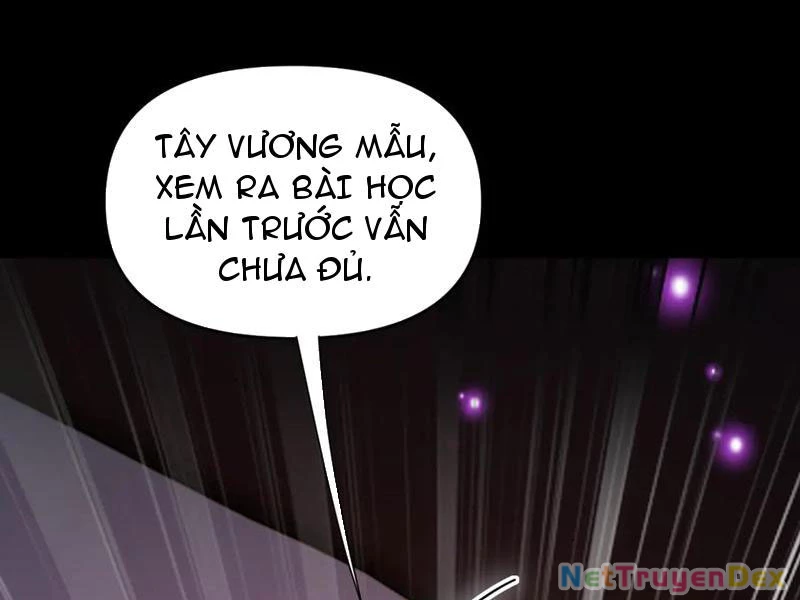 Bắt Đầu Chấn Kinh Nữ Đế Lão Bà, Ta Vô Địch! Chapter 58 - 156