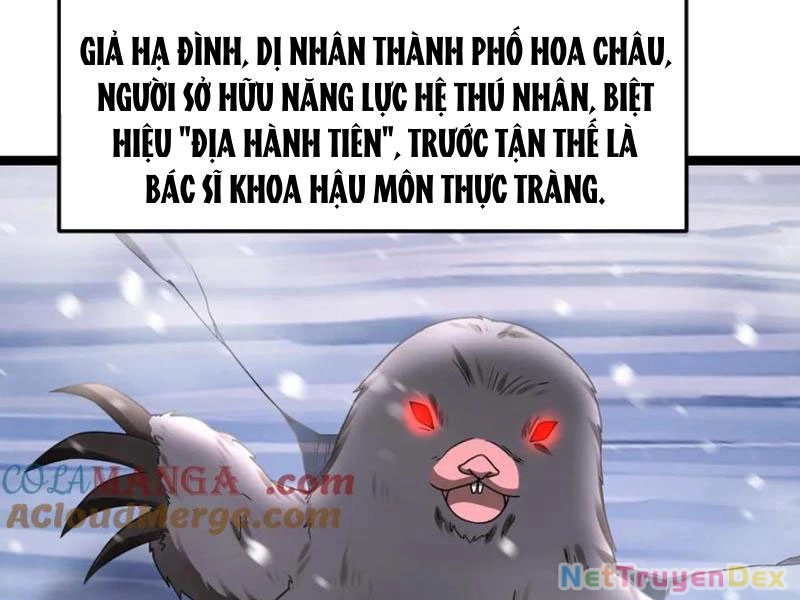 Toàn Cầu Băng Phong: Ta Chế Tạo Phòng An Toàn Tại Tận Thế Chapter 558 - 46