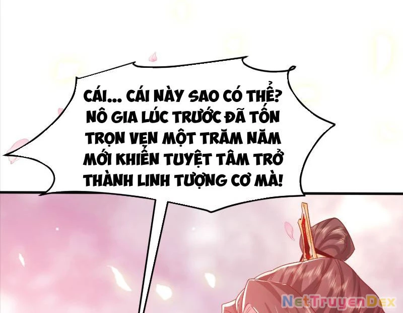 Hệ Thống Hèn Mọn Quỳ Xuống Cầu Xin Ta Vô Địch Chapter 29 - 32
