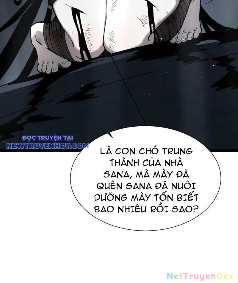 Cái Bóng Phản Bội Của Gia Tộc Chapter 39 - 14