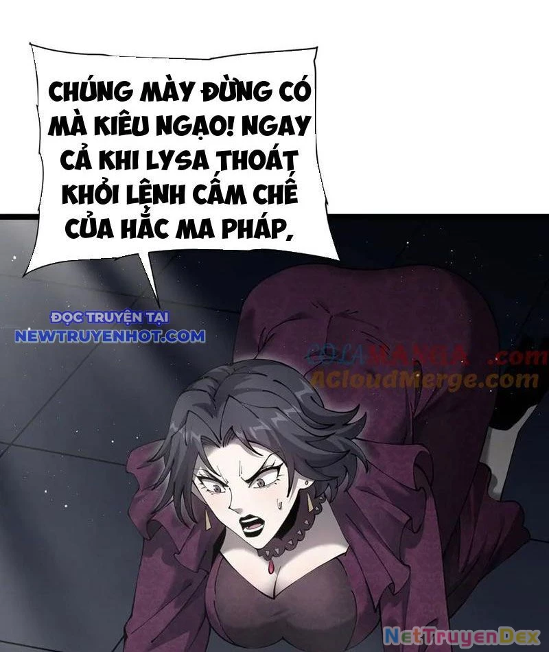 Cái Bóng Phản Bội Của Gia Tộc Chapter 39 - 70