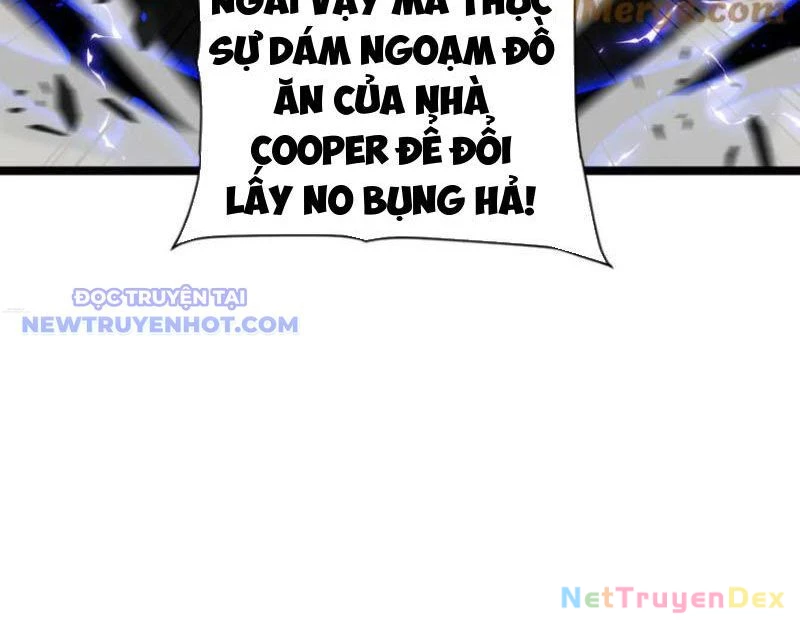 Cái Bóng Phản Bội Của Gia Tộc Chapter 43 - 19