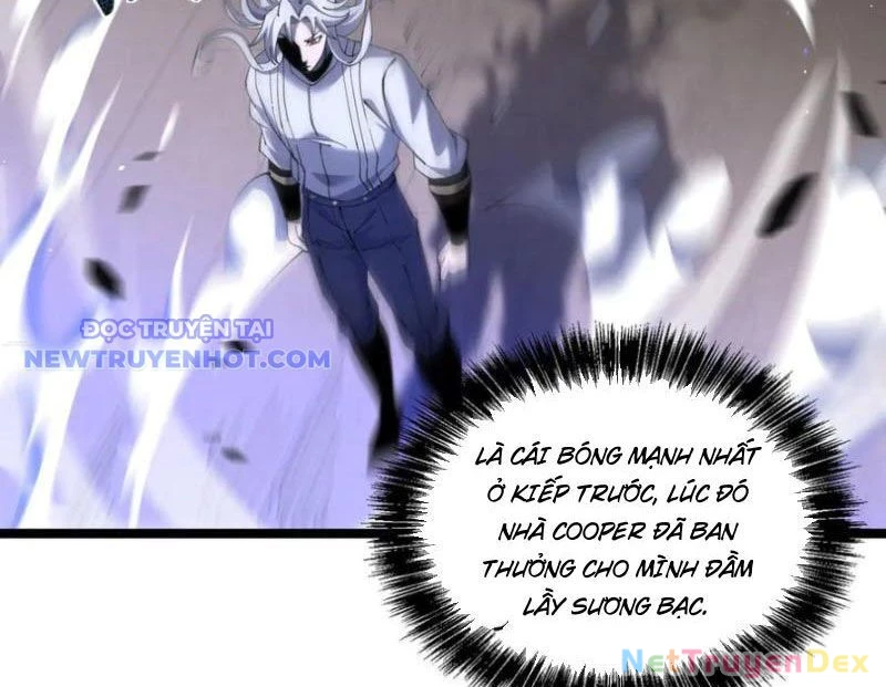 Cái Bóng Phản Bội Của Gia Tộc Chapter 43 - 21