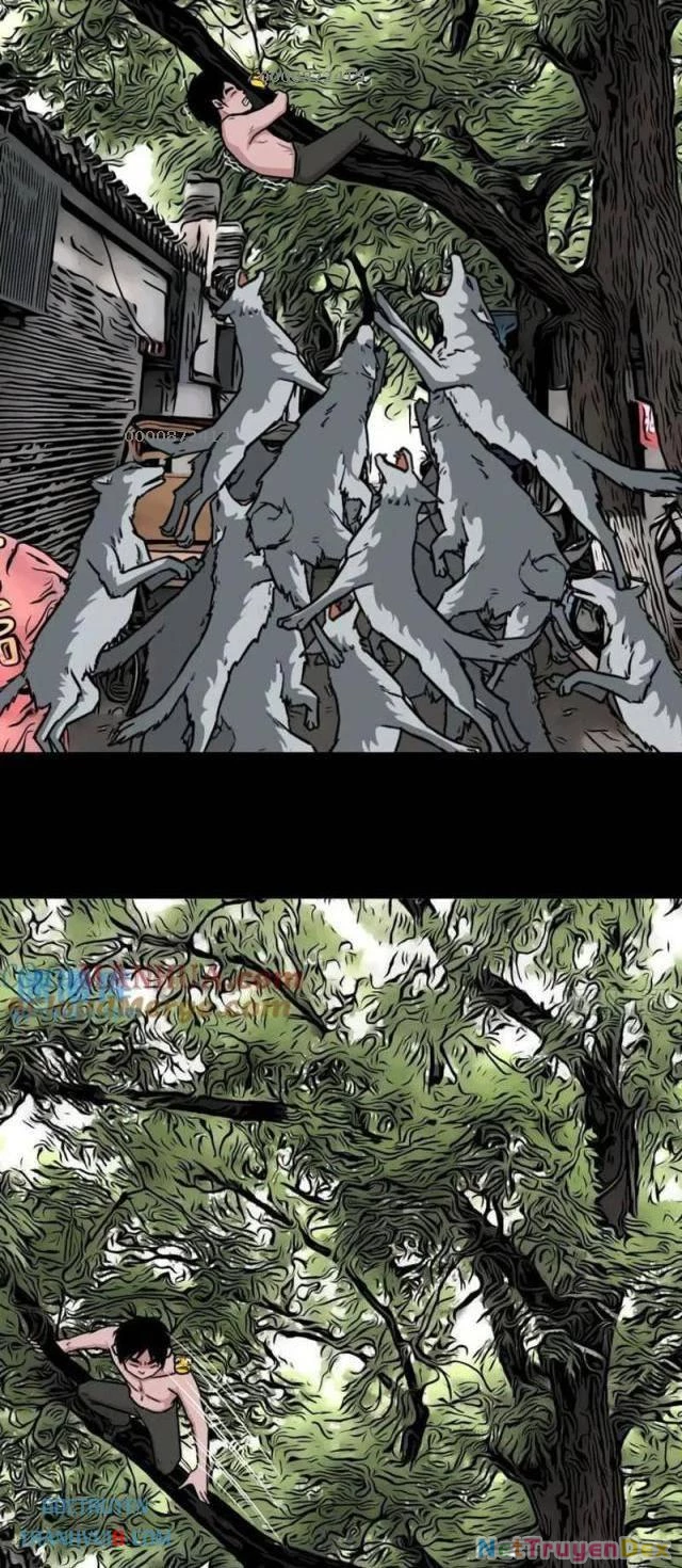 Đấu Yếm Thần Chapter 233 - 17