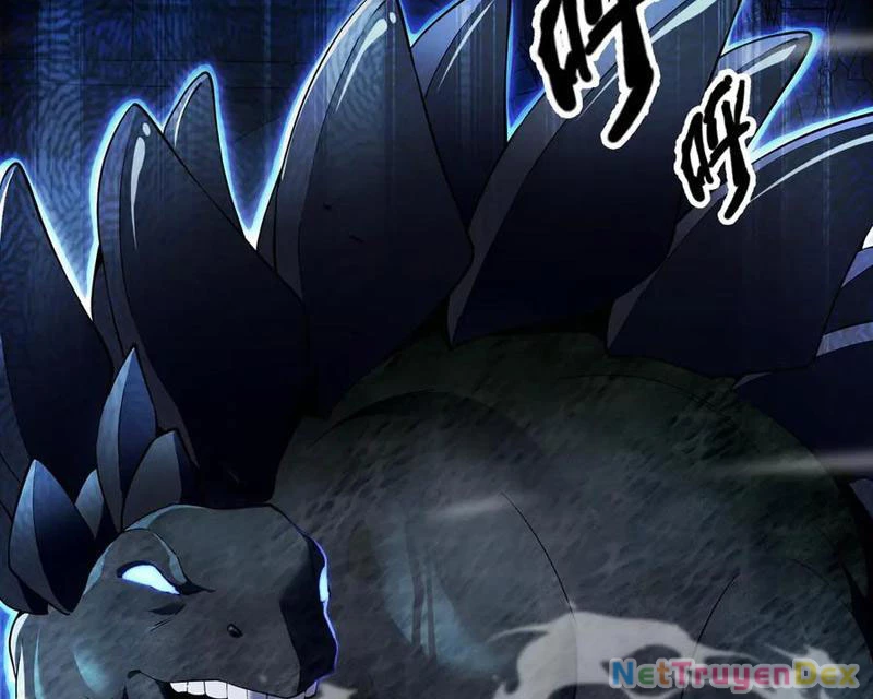 Linh Khí Khôi Phục: Từ Cá Chép Tiến Hóa Thành Thần Long Chapter 39 - 62