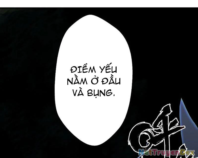 Linh Khí Khôi Phục: Từ Cá Chép Tiến Hóa Thành Thần Long Chapter 39 - 65