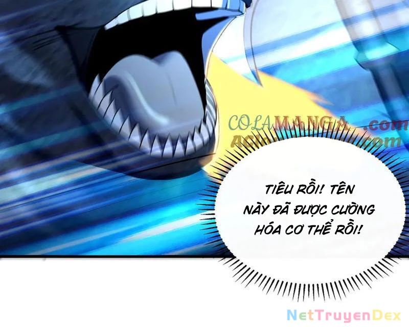 Linh Khí Khôi Phục: Từ Cá Chép Tiến Hóa Thành Thần Long Chapter 39 - 74