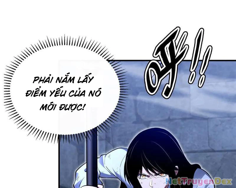 Linh Khí Khôi Phục: Từ Cá Chép Tiến Hóa Thành Thần Long Chapter 39 - 81