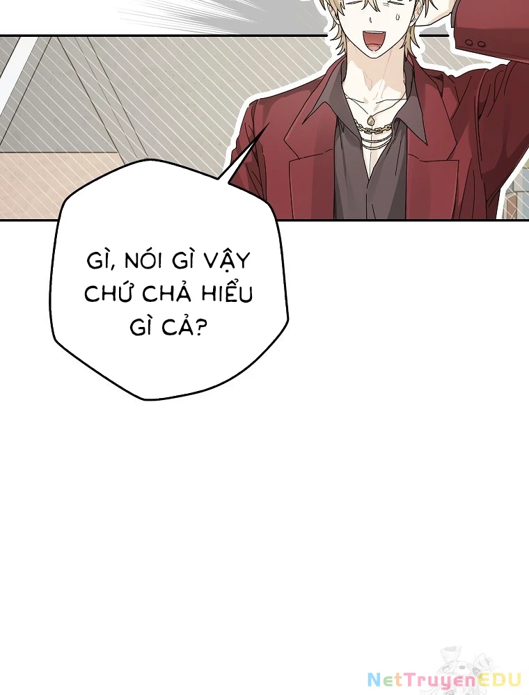 Tân Binh Triệu Đô Chapter 45 - 54
