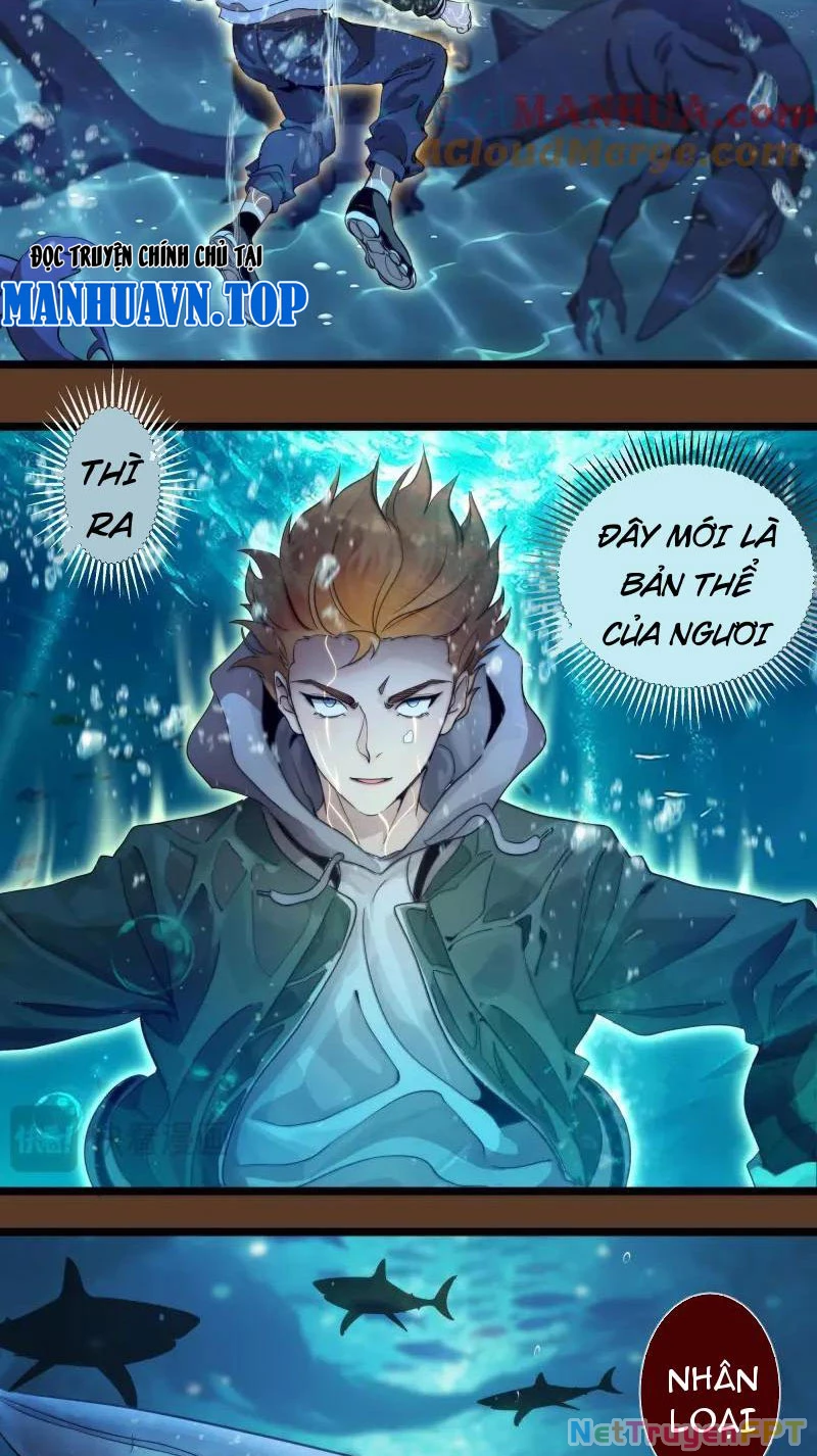 Cao Đẳng Linh Hồn Chapter 260 - 17