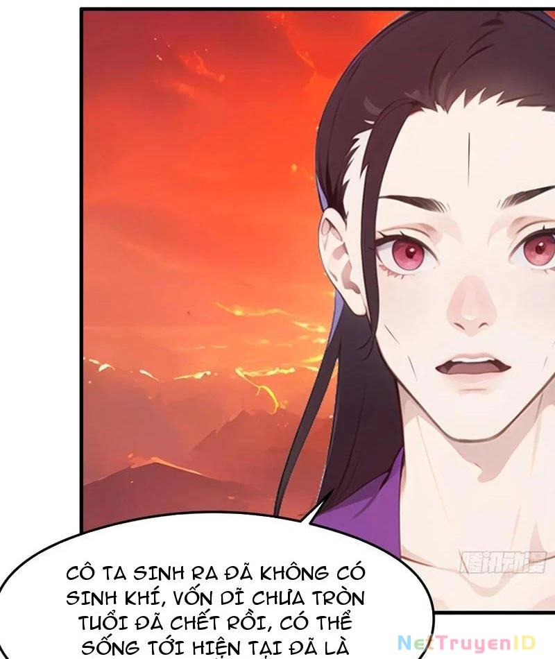 Phu Nhân Nhà Ta Đến Từ Địa Phủ Ngàn Năm Chapter 128 - 45