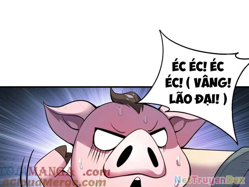 Ta Nhặt Đồ Bỏ Ở Mạt Thế Chapter 31 - 81