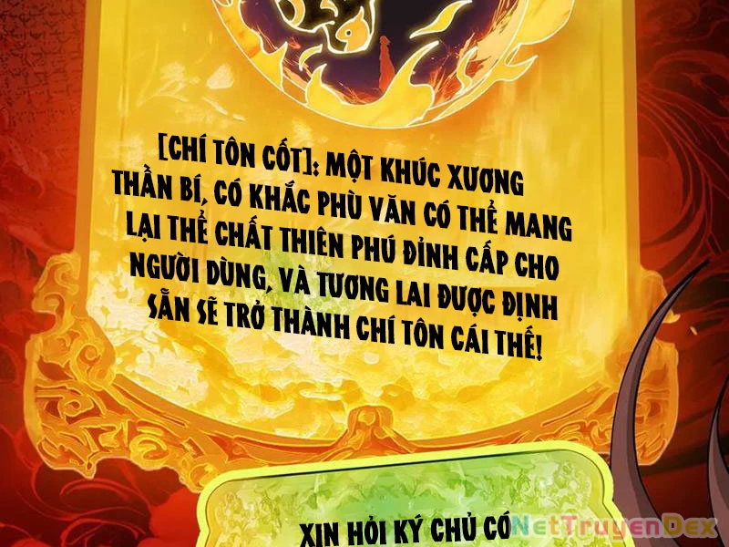 Gặp Mạnh Thì Mạnh, Ta Tu Vi Vô Thượng Hạn Chapter 11 - 3