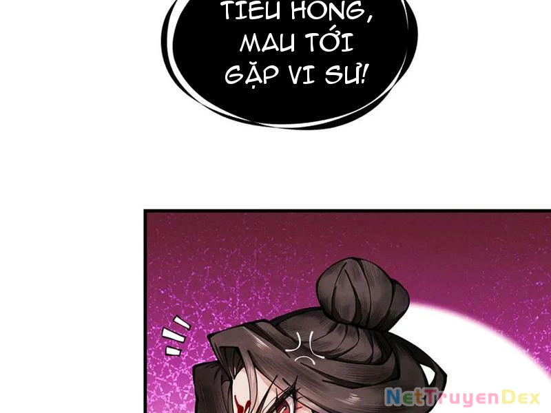 Gặp Mạnh Thì Mạnh, Ta Tu Vi Vô Thượng Hạn Chapter 11 - 54