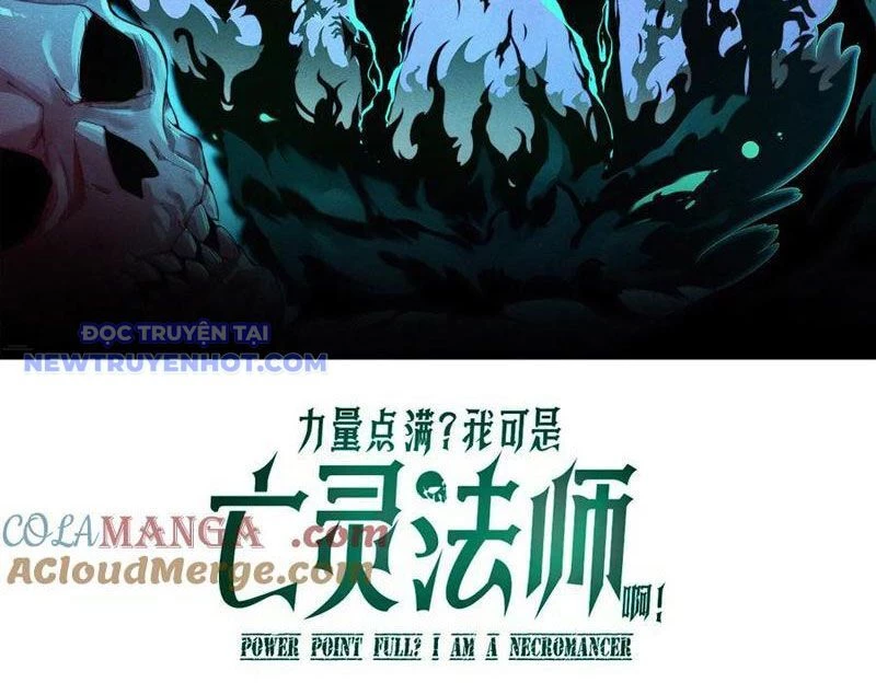 Sức Mạnh Tối Đa? Ta Lại Là Vong Linh Sư! Chapter 76 - 10