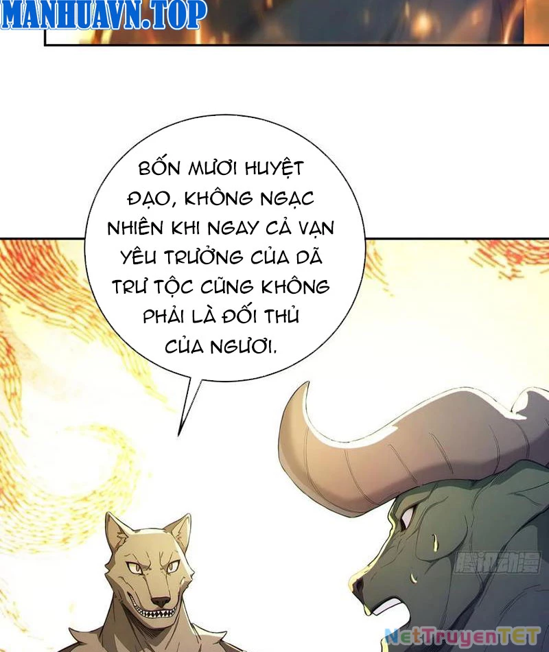 Ta thật sự không muốn làm thánh tiên Chapter 94 - 56