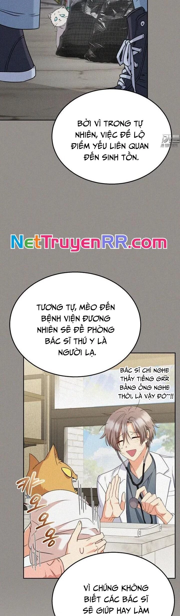 Xin Chào! Bác Sĩ Thú Y Chapter 62 - 13