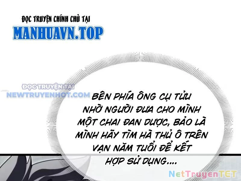 Đại Lão Xuống Núi: Bắt Đầu Từ Việc Trở Thành Thư Ký Chapter 45 - Trang 2