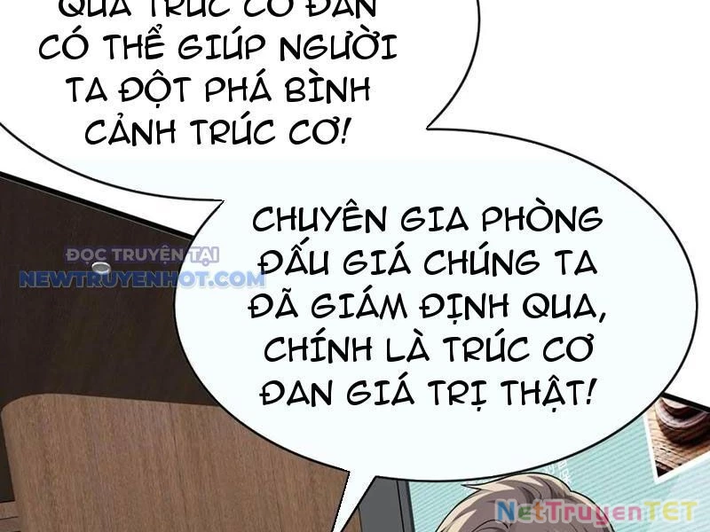 Đại Lão Xuống Núi: Bắt Đầu Từ Việc Trở Thành Thư Ký Chapter 46 - Trang 2