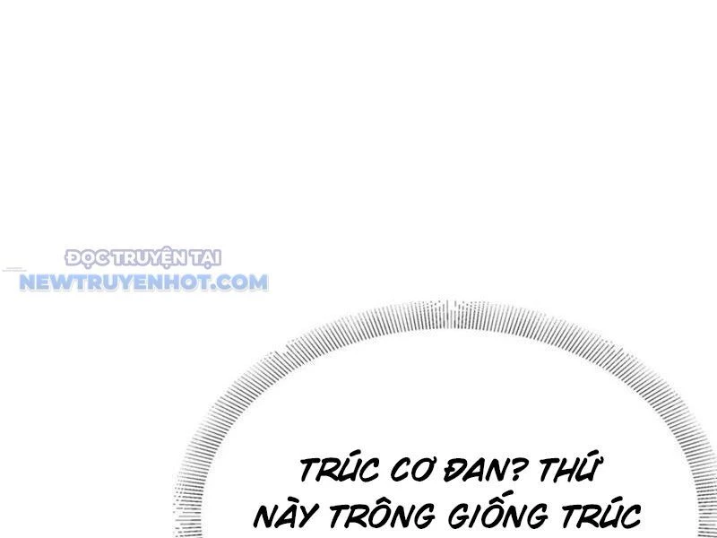 Đại Lão Xuống Núi: Bắt Đầu Từ Việc Trở Thành Thư Ký Chapter 47 - Trang 2