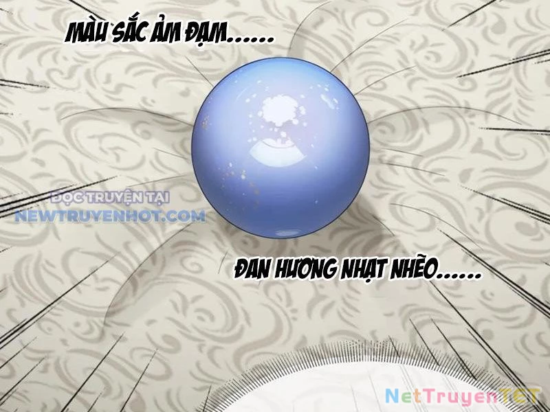 Đại Lão Xuống Núi: Bắt Đầu Từ Việc Trở Thành Thư Ký Chapter 47 - Trang 2