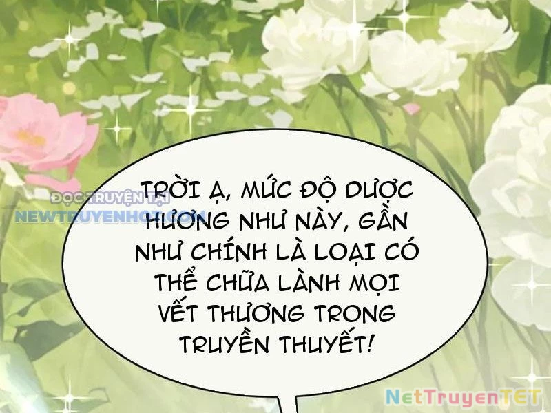 Đại Lão Xuống Núi: Bắt Đầu Từ Việc Trở Thành Thư Ký Chapter 54 - Trang 2