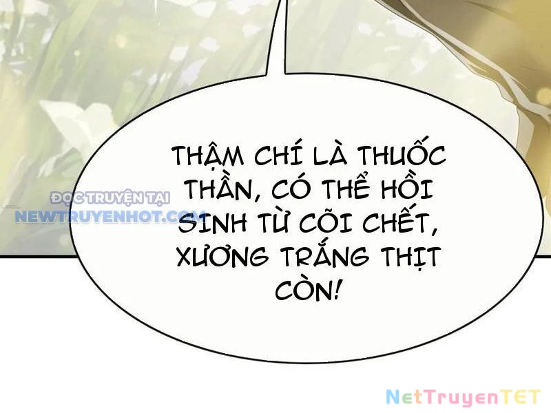 Đại Lão Xuống Núi: Bắt Đầu Từ Việc Trở Thành Thư Ký Chapter 54 - Trang 2