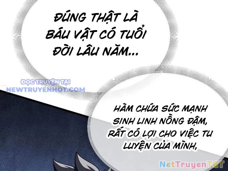 Đại Lão Xuống Núi: Bắt Đầu Từ Việc Trở Thành Thư Ký Chapter 68 - Trang 2