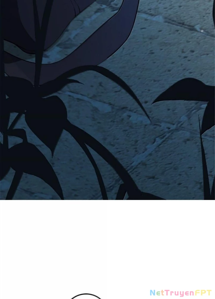 Thả Vu Nữ Đó Ra Chapter 615 - 63